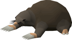 Giant Mole.png